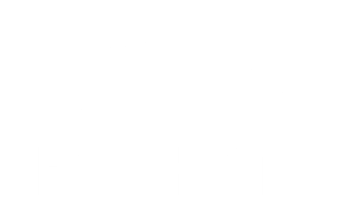 Bergshirt.nl